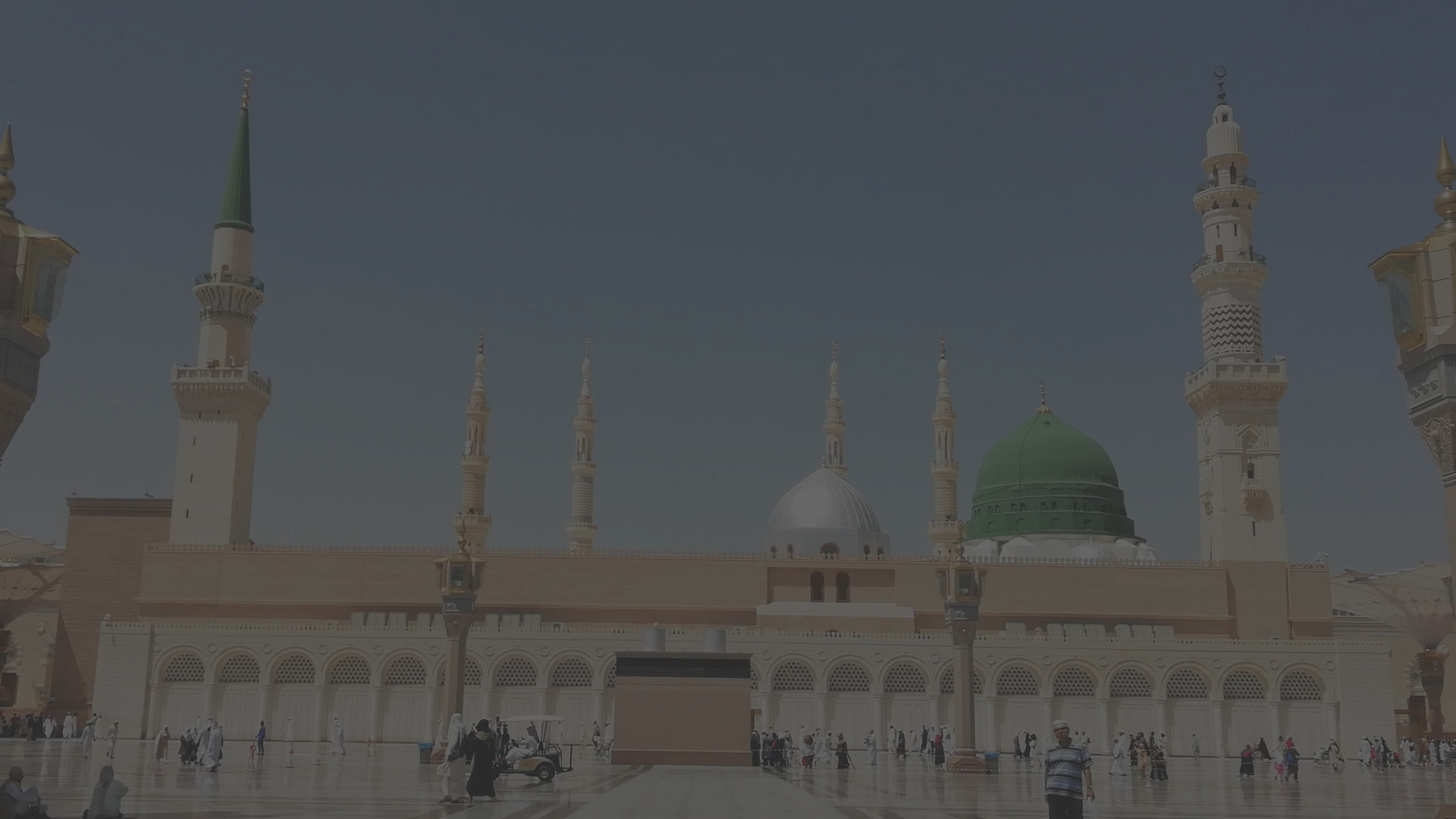 المدينة المنورة