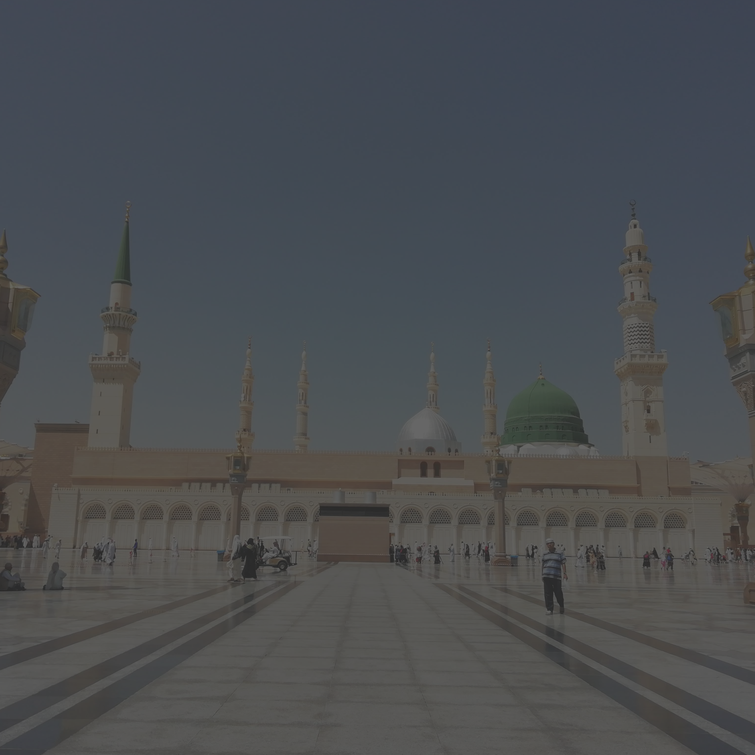 المدينة المنورة